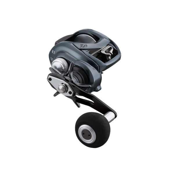 Daiwa Lexa TW Baitcasting Reel