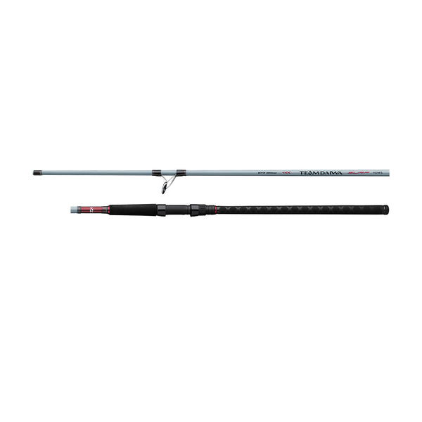 Daiwa Team Daiwa Surf  Spinning Rod
