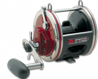 Penn Special Senator Star Drag Reel